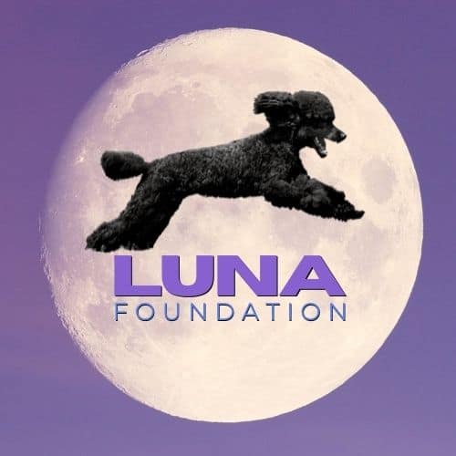 Luna Foundation
